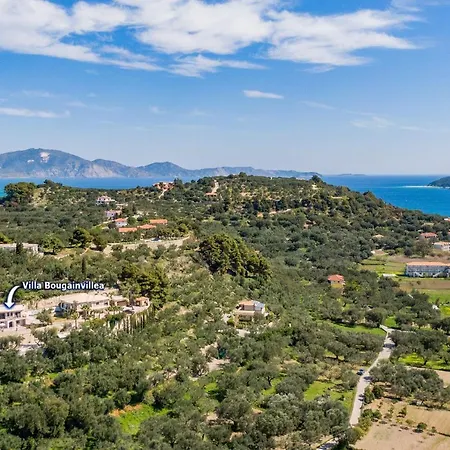 Bougainvillea By Vila